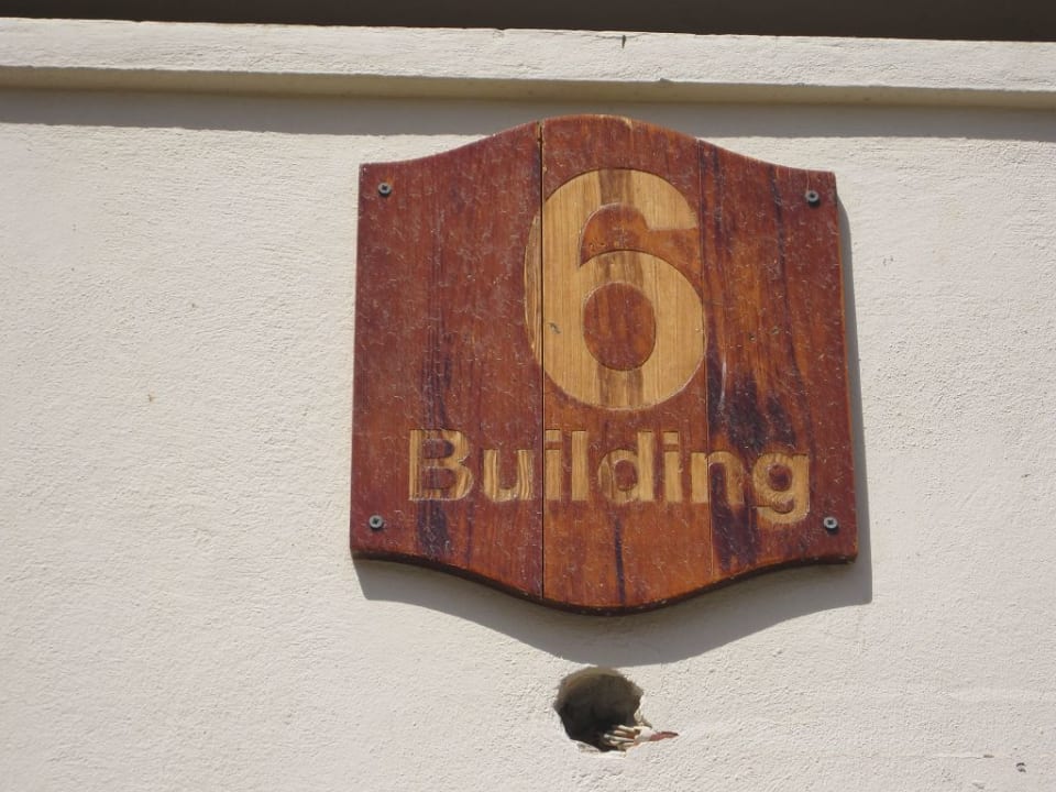 Zimmer Pickalbatros Citadel Resort