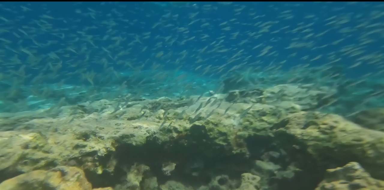 Strand Crystal Springs Beach Hotel