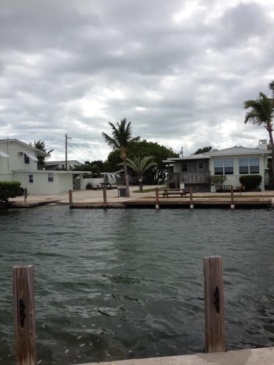 Krokodile oder Haie ? Hotel Parmer's Resort