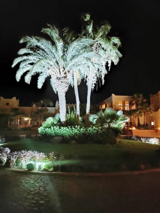 Gartenanlage Hotel Riu Touareg