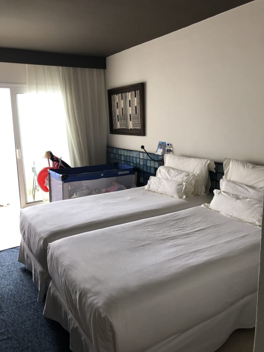 Zimmer Dreams Jardín Tropical