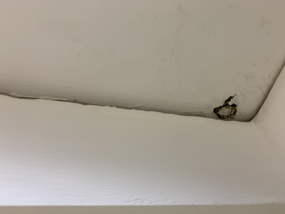 Zimmer Hotel Cardinal Saint Peter