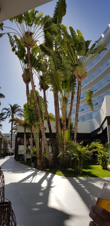 Ausblick Hotel Riu Palace Palmeras