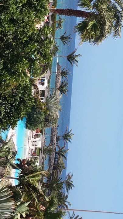 Pool Sheraton Fuerteventura Golf & Spa Resort