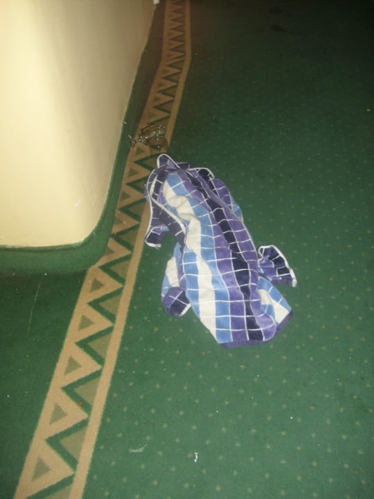 Sonstiges Marhaba Royal Salem