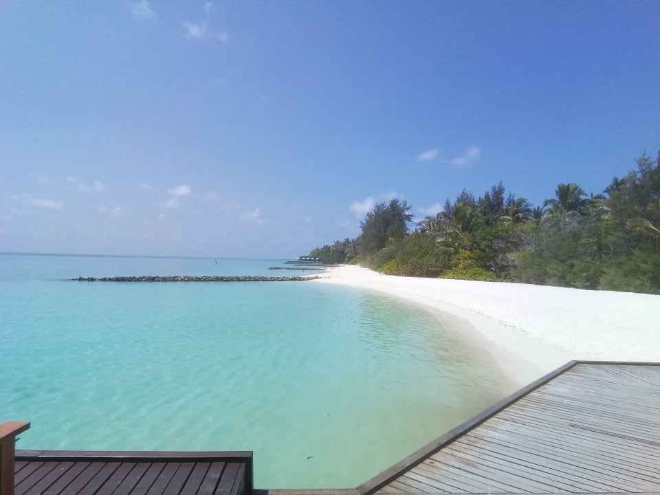 Strand Summer Island Maldives