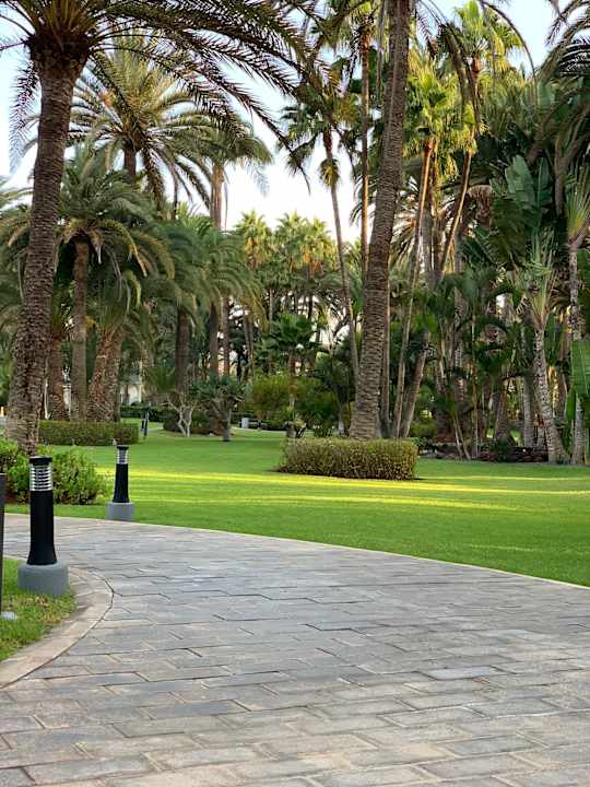 Außenansicht Hotel Riu Palace Oasis