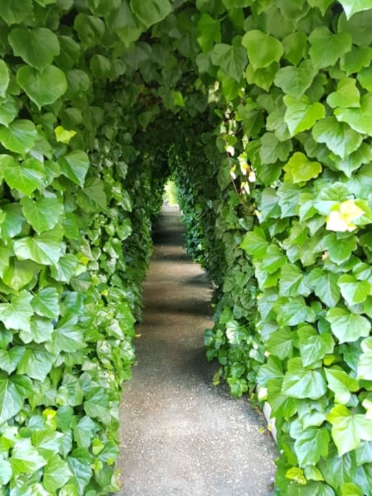 Gartenanlage Hotel Transatlantique Meknes