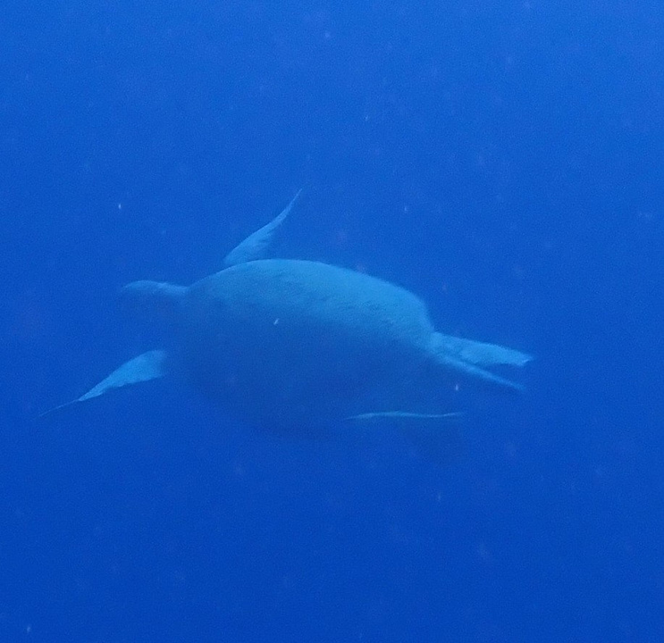 Strand Makadi Spa - Adults only