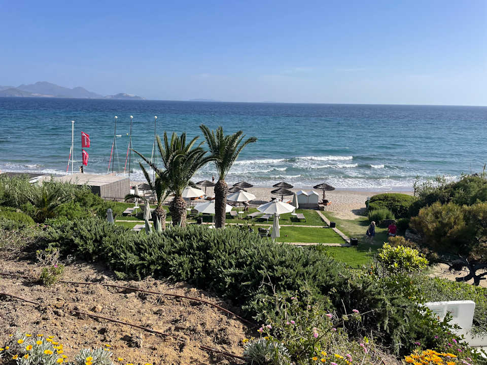 Ausblick ROBINSON DAIDALOS