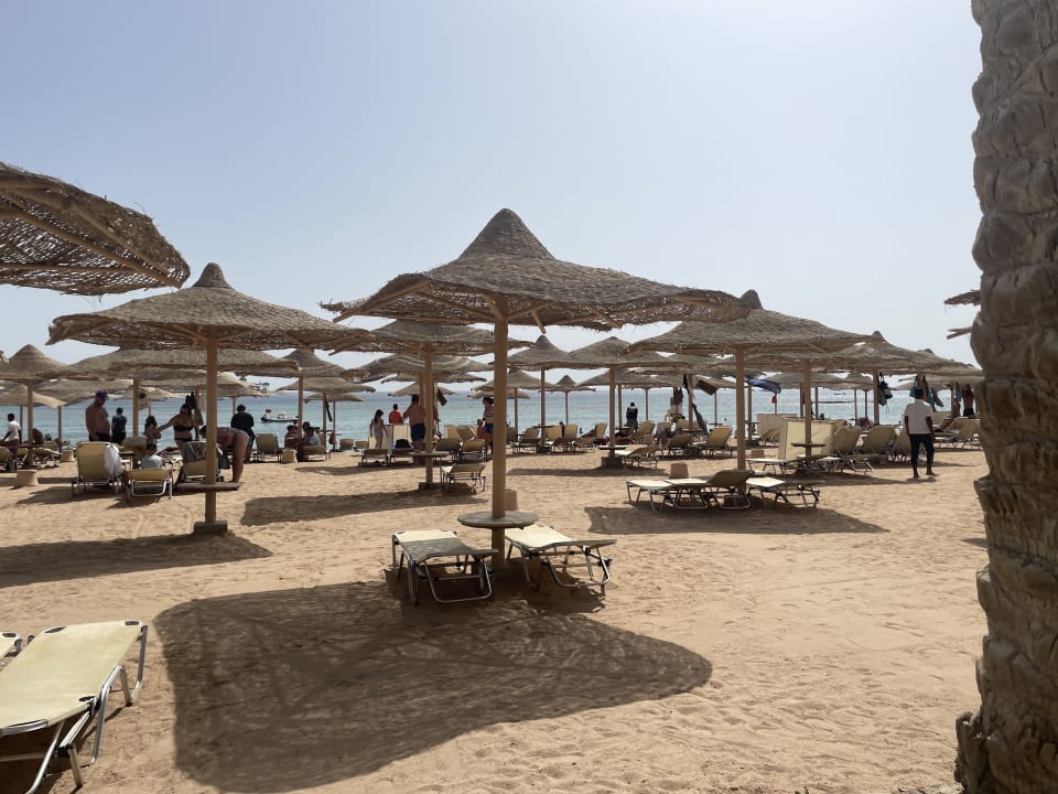 Strand Jaz Makadi Oasis Resort