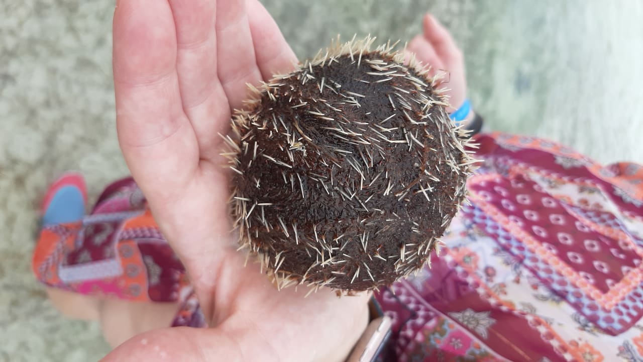 Sonstiges Neptune Palm Beach Boutique Resort & Spa