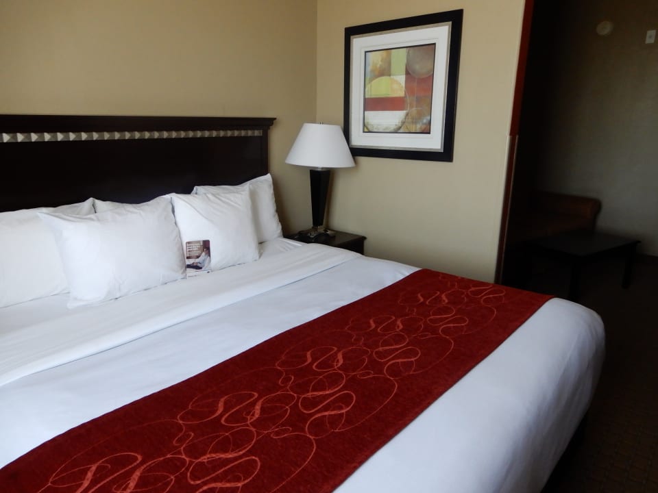 Zimmer Comfort Suites Fort Stockton