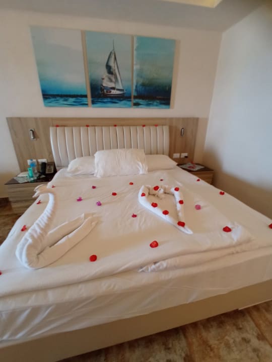 Zimmer Pickalbatros Citadel Resort