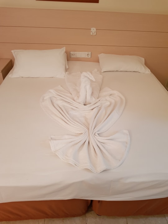Zimmer Hotel Gardenia Beach
