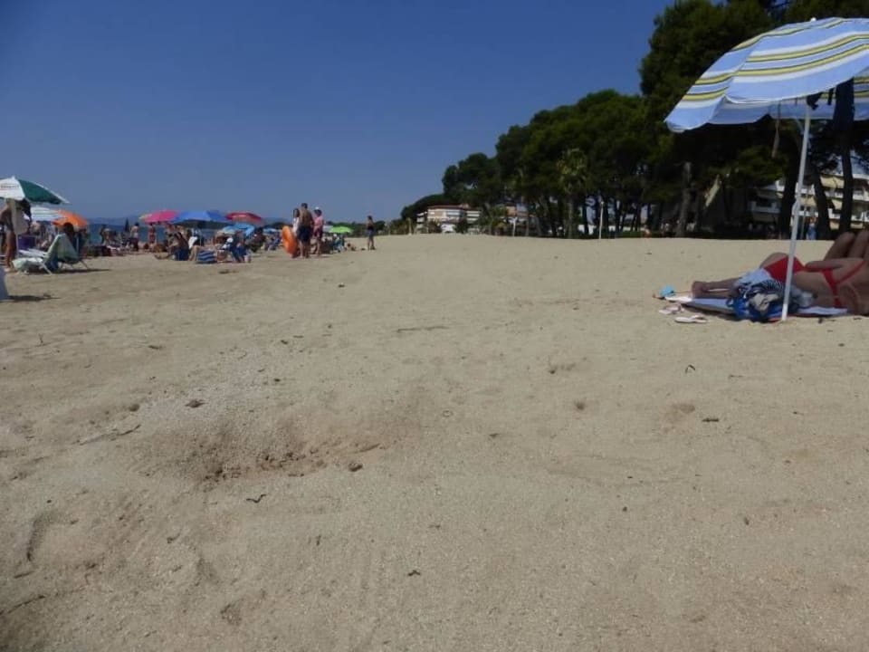 Viel Platz am Strand Bungalow Park Colibri