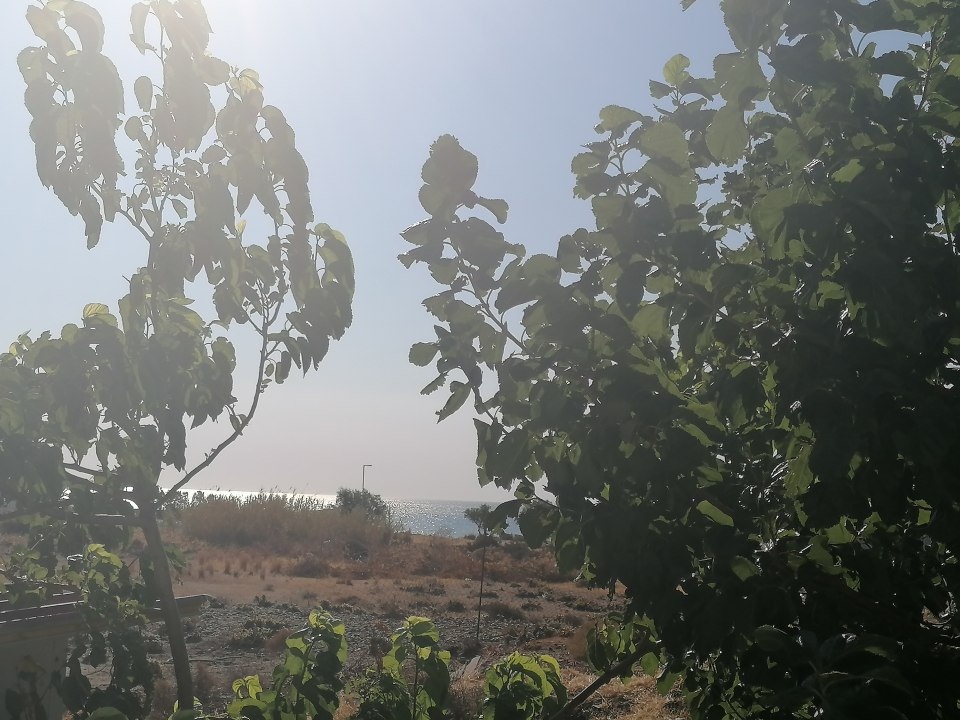 Außenansicht 12 senses Faliraki sea view