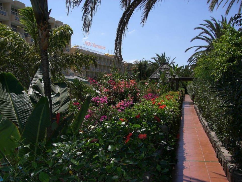 Garten mit Sicht auf die FKK-Dachterrasse Abora Catarina by Lopesan Hotels