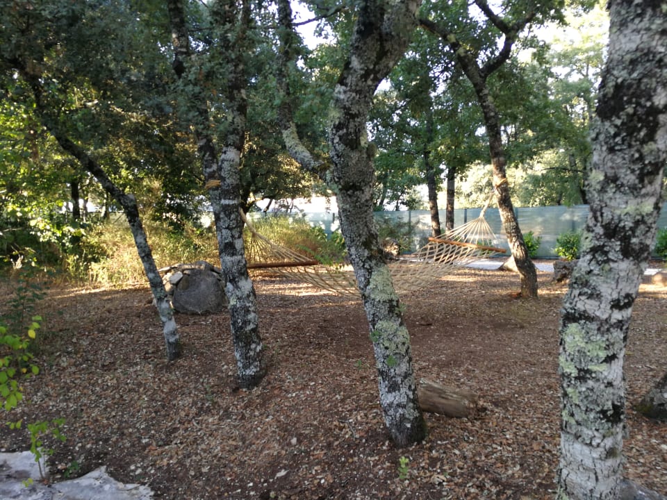 Gartenanlage Luz Houses