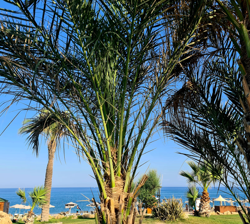 Gartenanlage Rodos Palladium Leisure & Wellness
