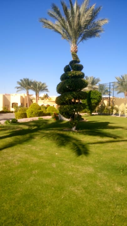 Ein Lob an die Gärtner Jaz Solaya