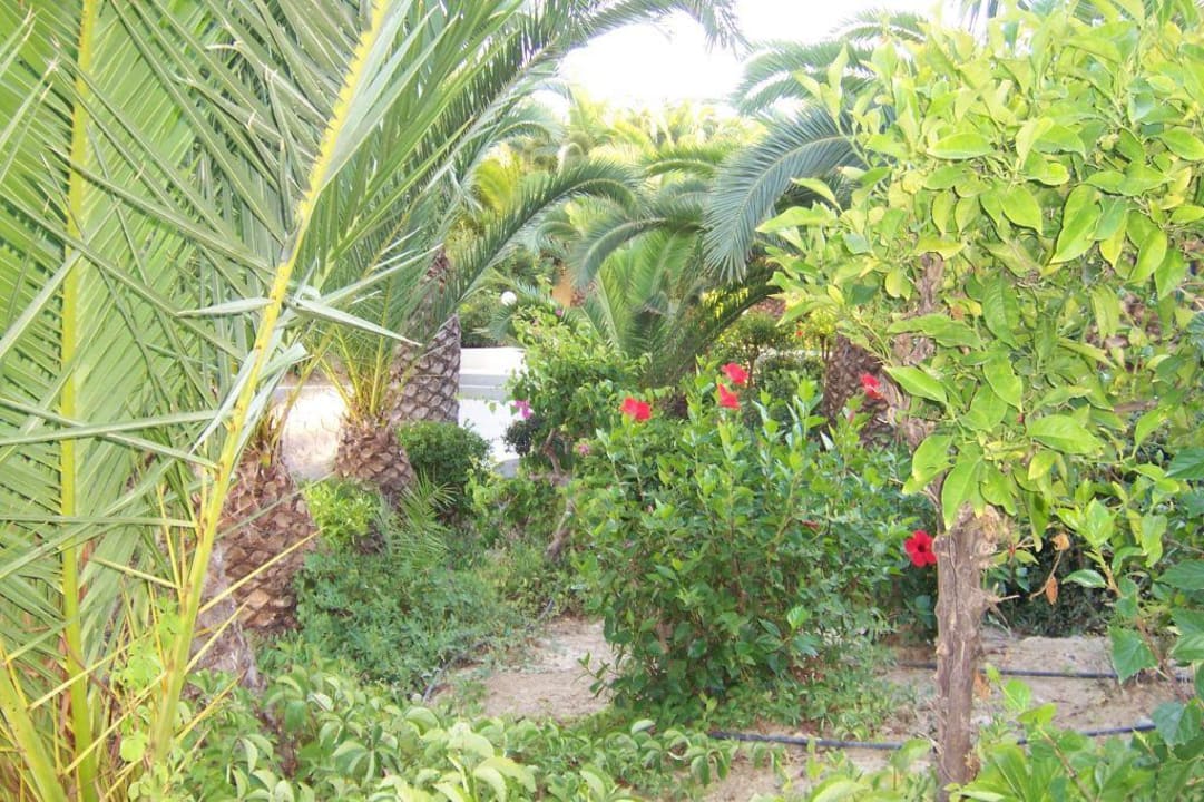 Gartenanlage Giannoulis Santa Marina Beach