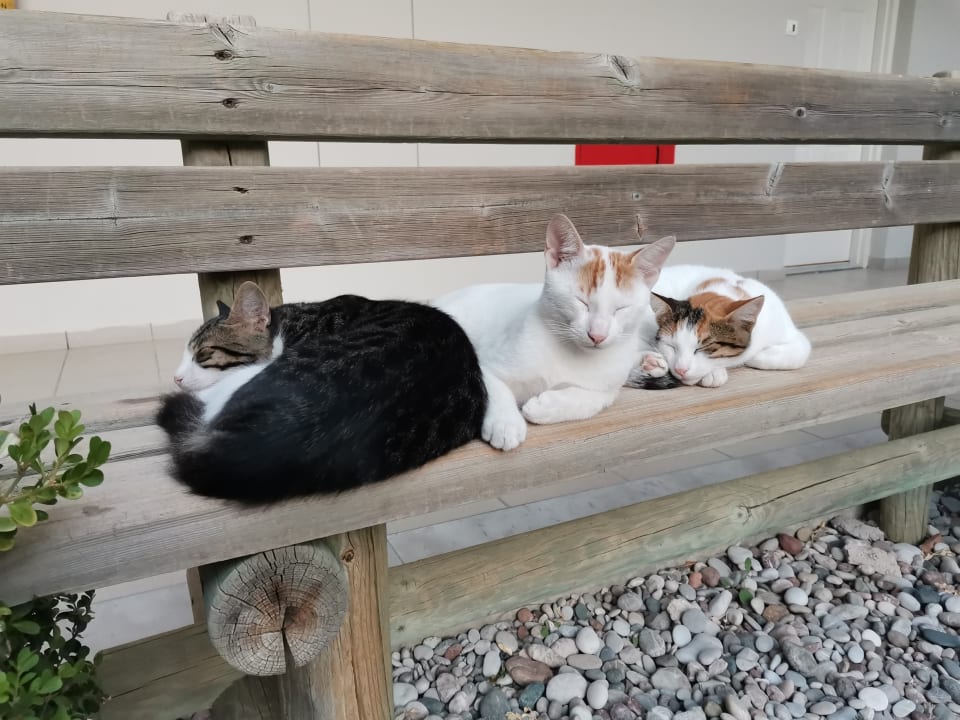 Sonstiges Rodos Palladium Leisure & Wellness