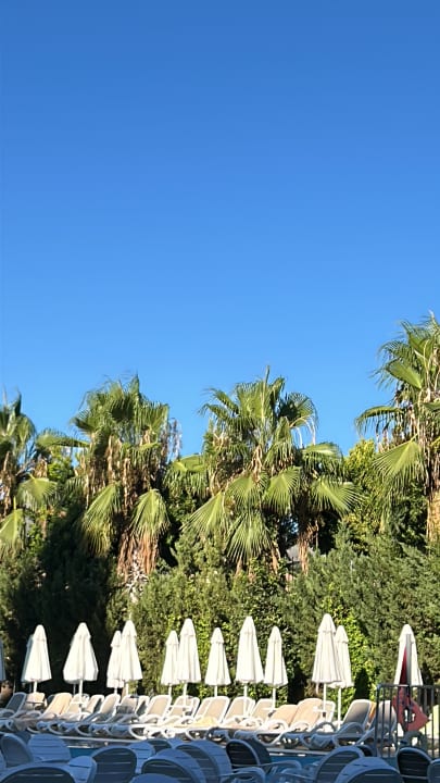 Pool Well Palace Side