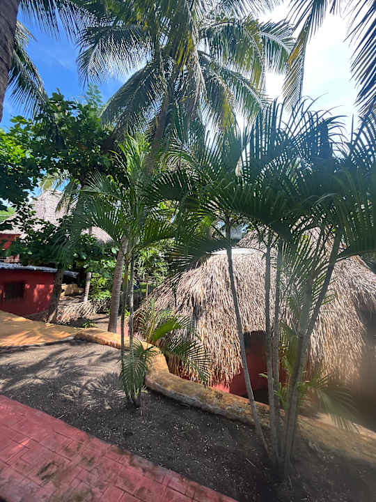 Gartenanlage Hotel Pez de Oro