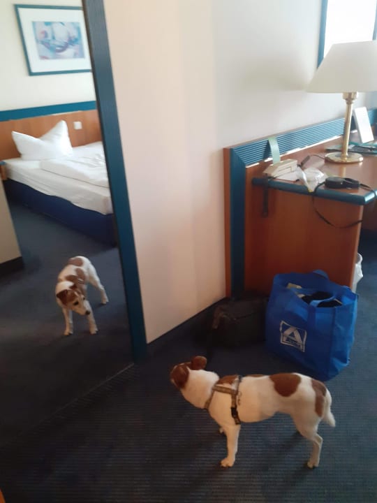 Zimmer Hotel Wyndham Garden Wismar