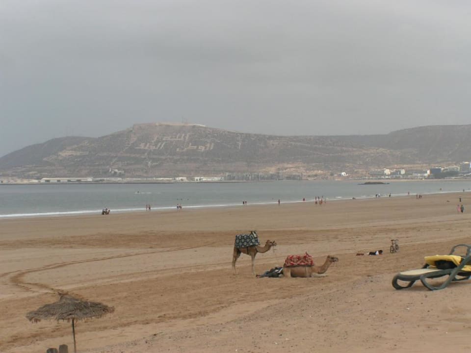 Öffentlicher Strand (bei Ebbe) hinter dem Hotel Iberostar mi Iberostar Waves Founty Beach