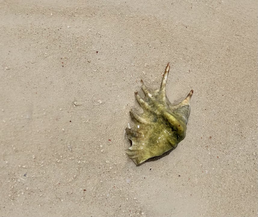 Strand Royal Zanzibar Beach Resort