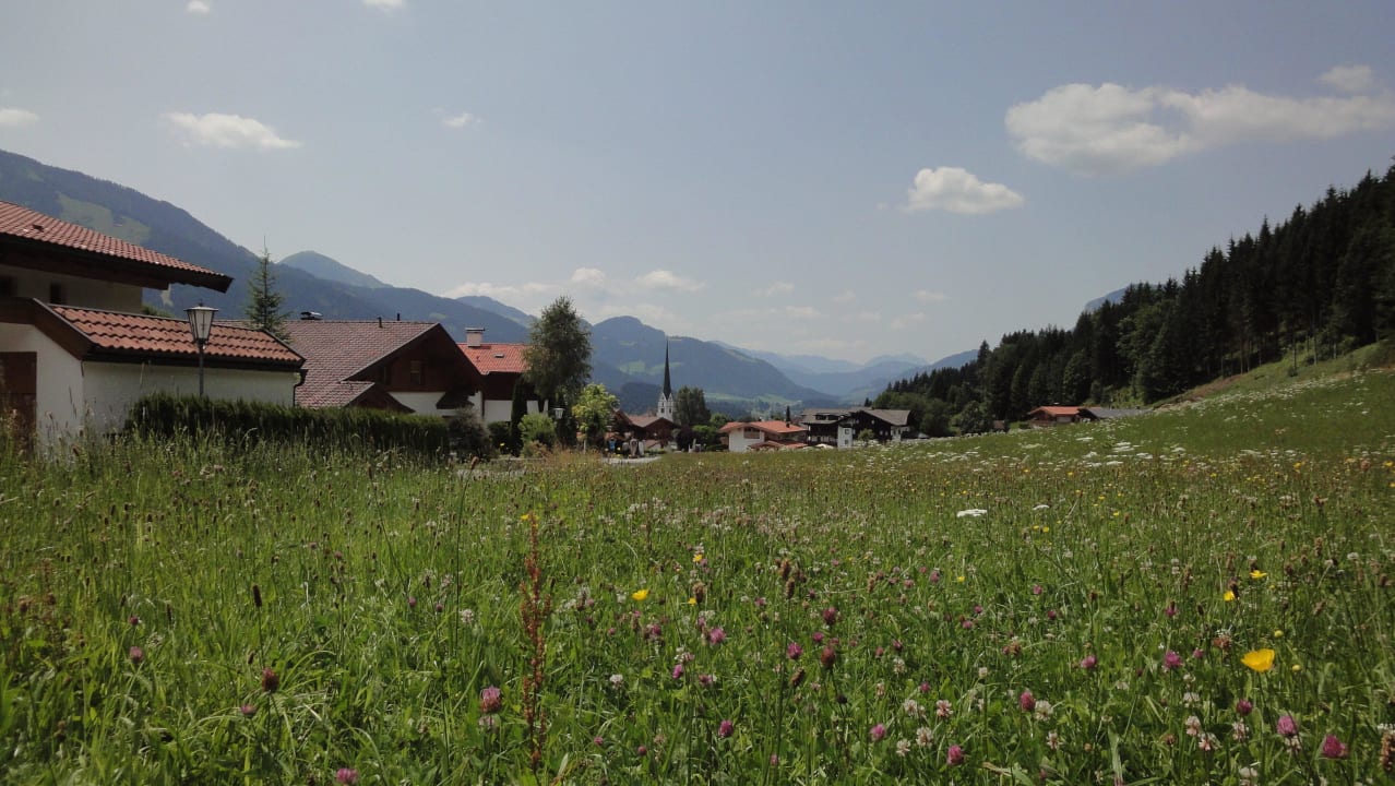 Blick auf Scheffau Garni Hotel - Das Alpin Kaiserzeit