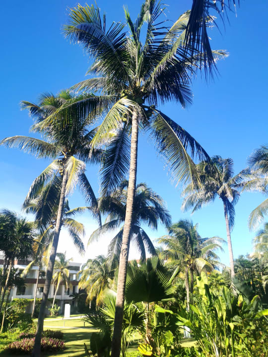 Gartenanlage Bahia Principe Grand Tulum
