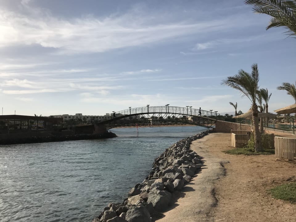 Ausblick Desert Rose