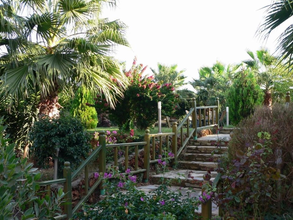 Weg vom Hotel zum Pool Hane Family Resort