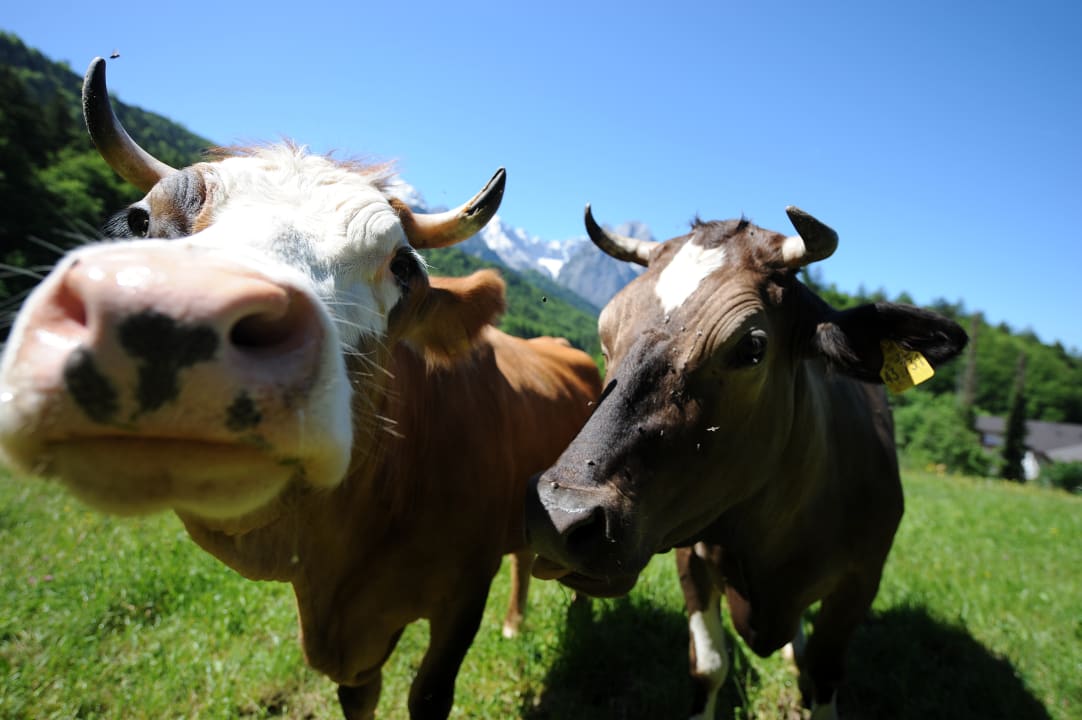 Gartenanlage Riessersee Hotel