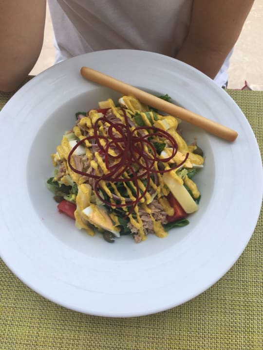 Gastro Acanthus Cennet Barut Collection