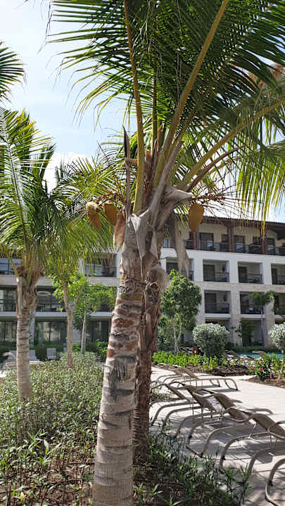 Gartenanlage Lopesan Costa Bávaro Resort, Spa & Casino