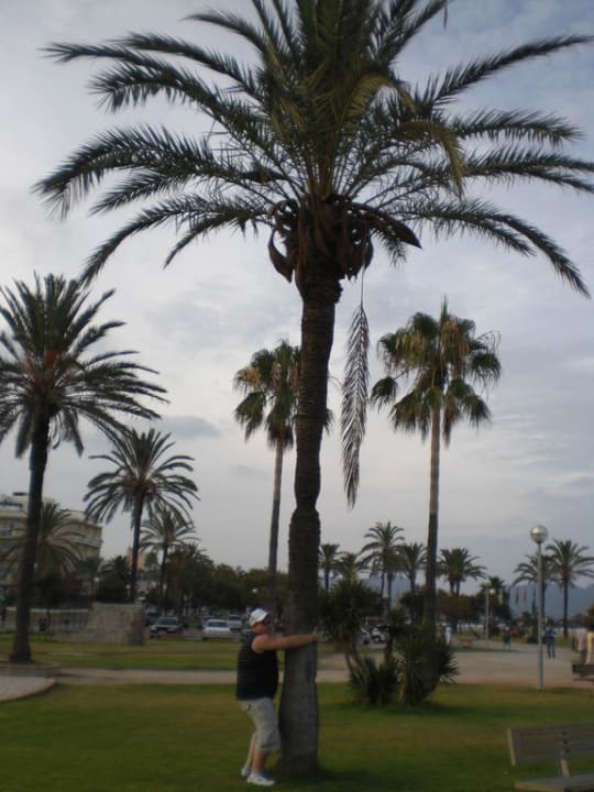 Ich will nicht weg La Santa Maria Hotel