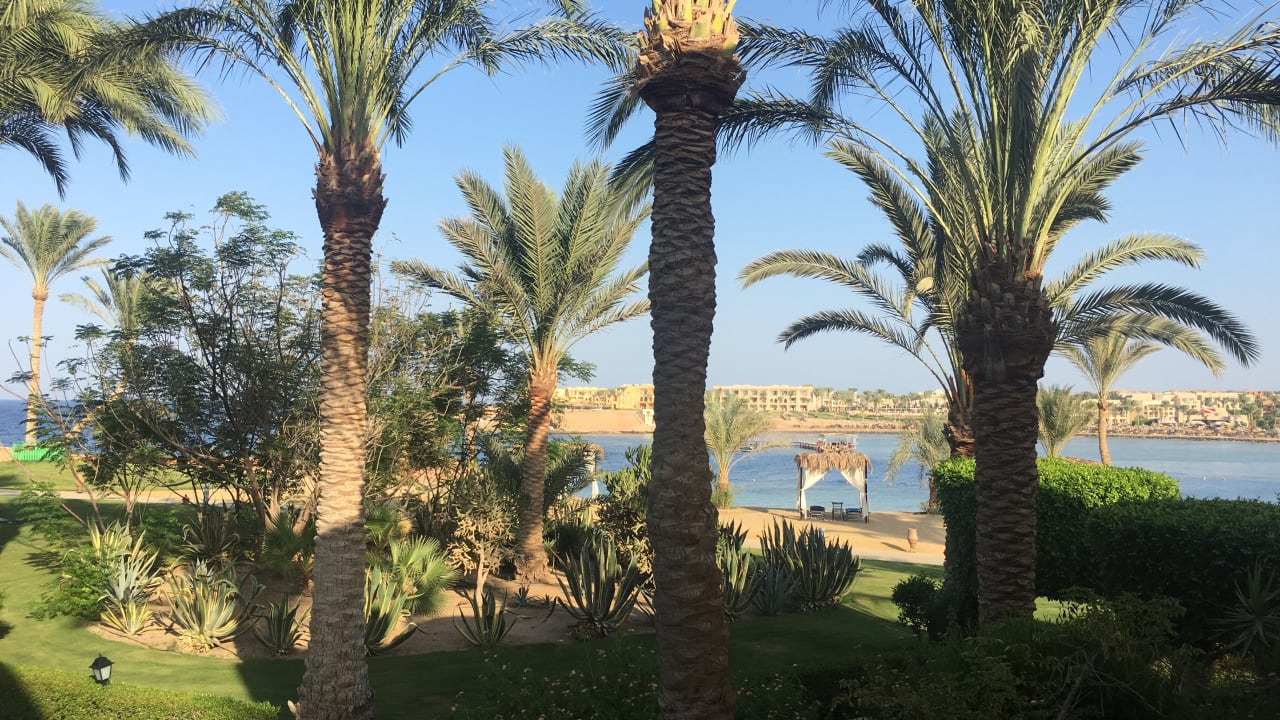 Gartenanlage Steigenberger Coraya Beach - Adults only