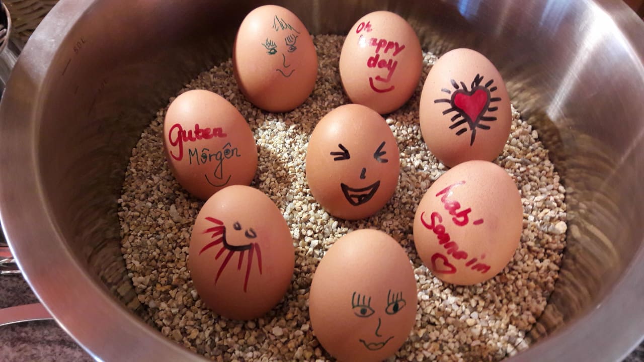 Gastro AKZENT Hotel Bayerwald-Residenz