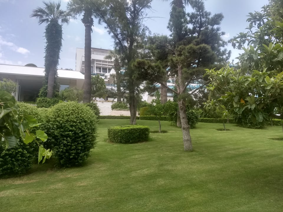 Gartenanlage Side Star Elegance