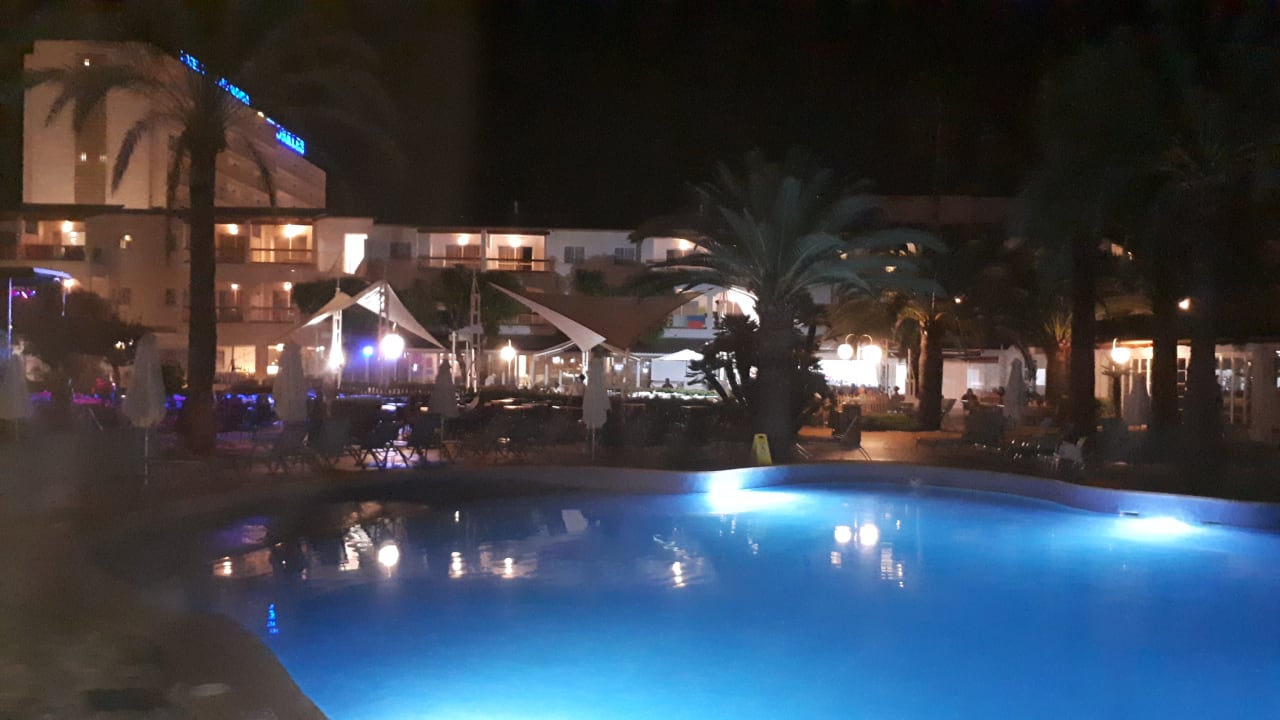 Pool Alcudia Garden Aparthotel