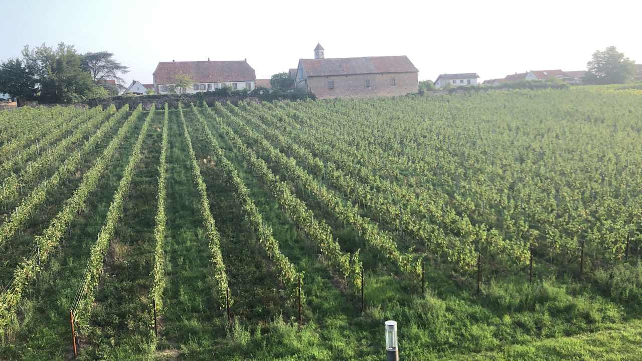 Ausblick Das Prinzregent