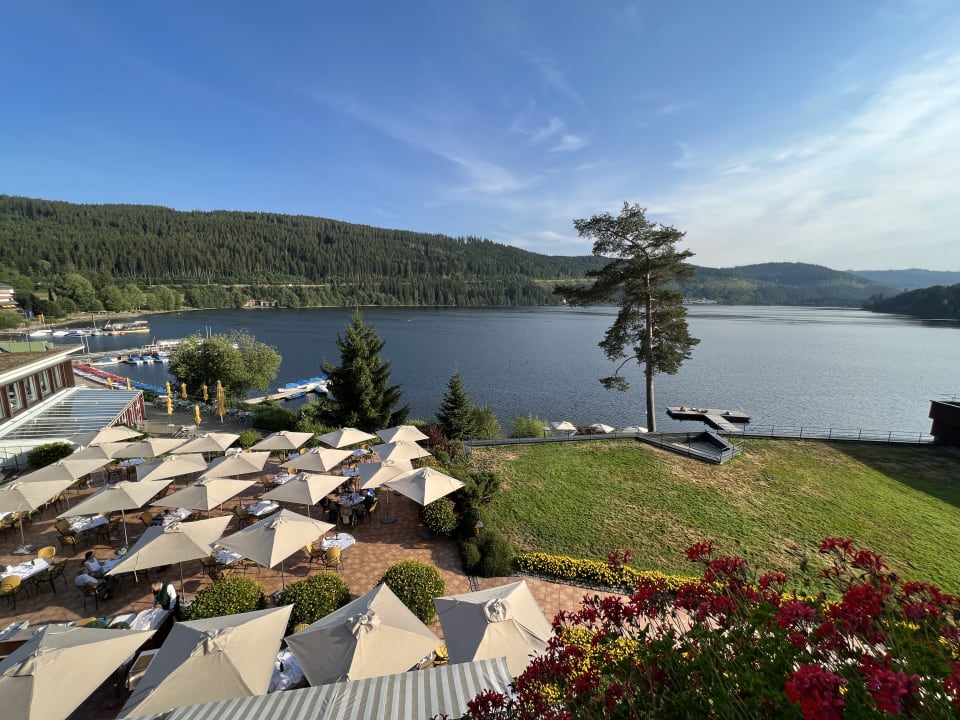 Ausblick Treschers Schwarzwald Hotel