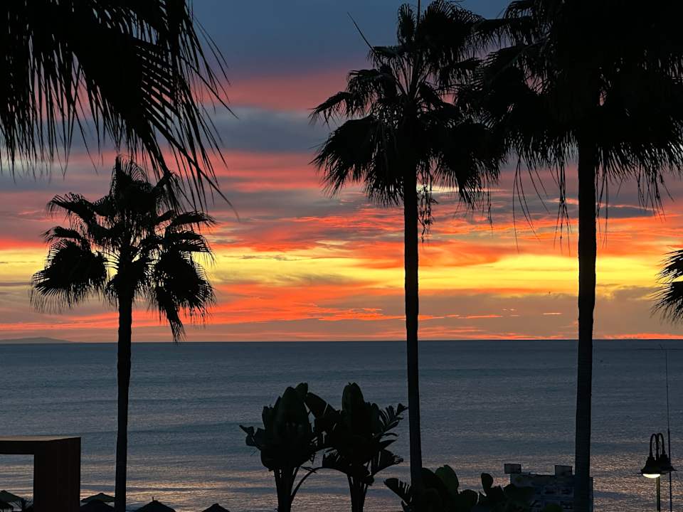 Ausblick Hotel Riu Nautilus - Adults only