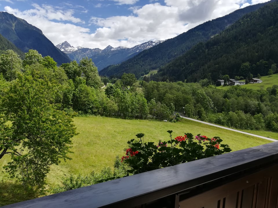 Ausblick Frühstückspension Hannelore Willi