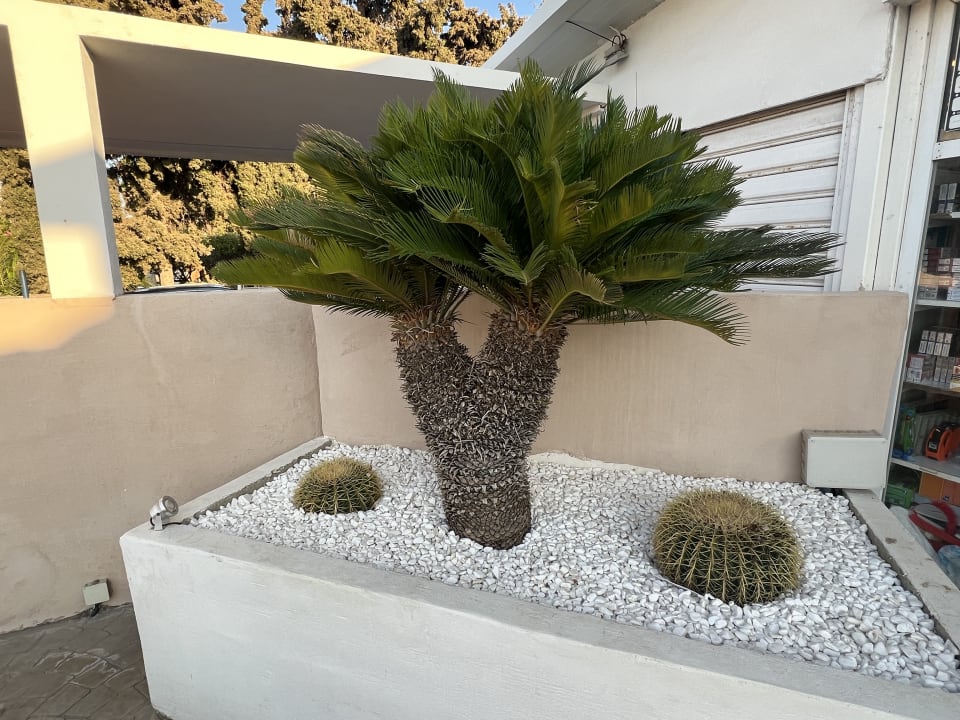 Pool Kolymbia Bay Art Adults-only Hotel