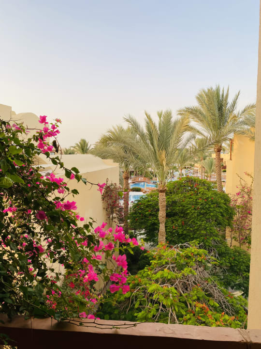 Ausblick Steigenberger Coraya Beach - Adults only